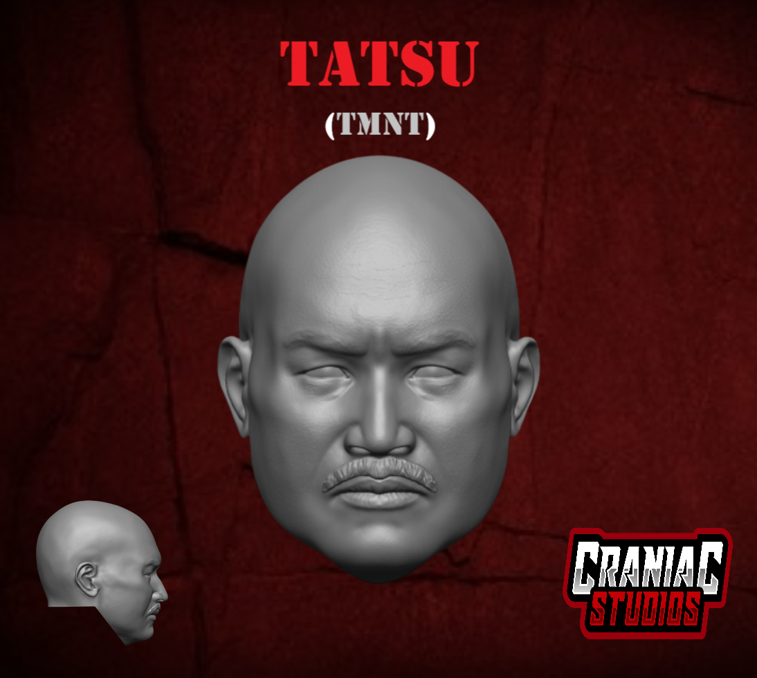 tatsu kura③ Tatsu (TMNT) – Craniac Studios LLC